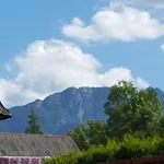 Zakogiewont